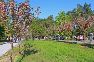 Kimliği belirsiz insanlar stilize bir Japon bahçe Kyoto sokakta sakura üzerinde yürüyor