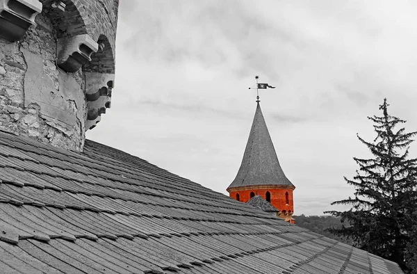 Le château de Kamianets-Podilskyi est un ancien château ruthénien-lituanien et une forteresse polonaise en trois parties située dans la ville historique de Kamianets-Podilskyi, en Ukraine. Filtre appliqué — Photo
