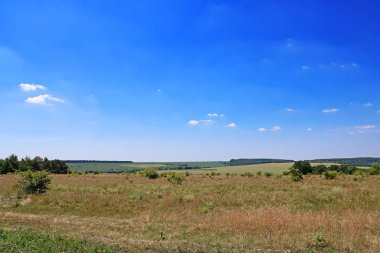 Çayırlar ve yaz aylarında alanları