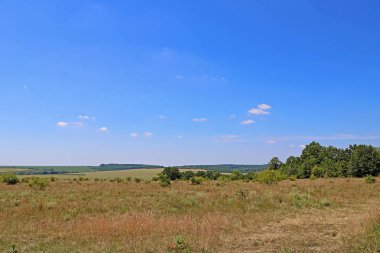 Çayırlar ve yaz aylarında alanları