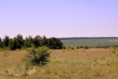 Çayırlar ve yaz aylarında alanları