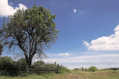 Ağaç köyü yaz aylarında eteklerinde