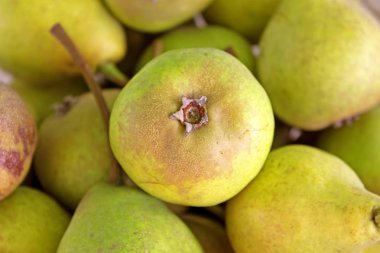 Armut doku arka plan - kadar yakın