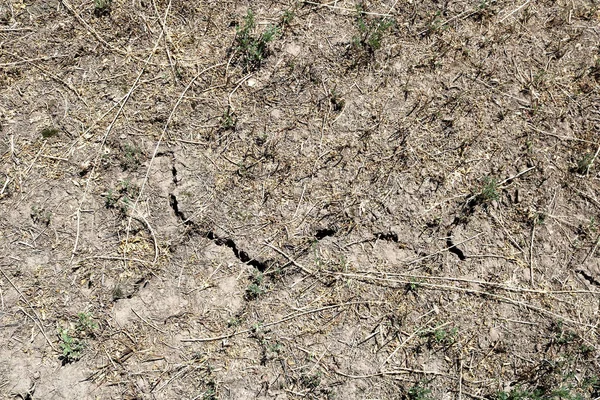 Расколотая земля с сухой травой — стоковое фото