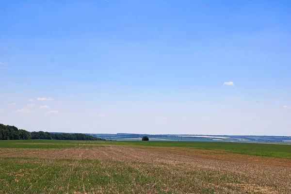 Łąki i pola w lecie — Zdjęcie stockowe