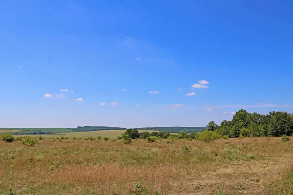 Meadows and fields in the summer — Stock Photo, Image