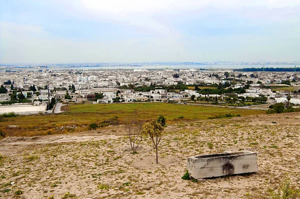 Tunus Atlı araçlar şehir güzel görünüm — Stok fotoğraf