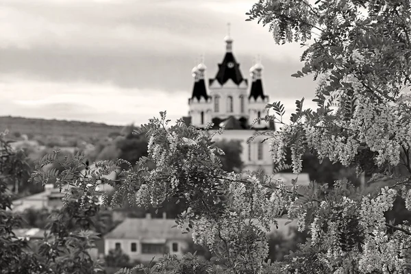 Cattedrale di San Giorgio e il ramo di acacia in fiore (al centro) a Kamianets-Podilskyi, Ucraina. Filtro in bianco e nero — Foto Stock