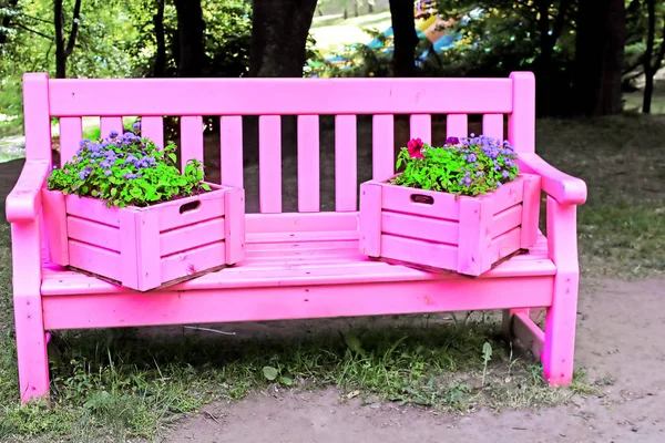 Bench painted in pink color in the park — Stock Photo, Image