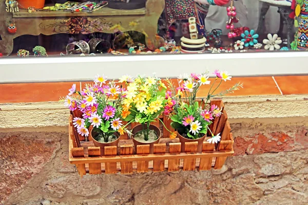 Virágcserép díszíti a bolt kirakat — Stock Fotó