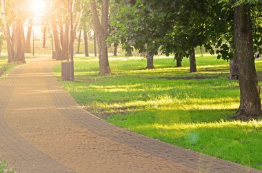 Sunset Park kamaşma ile
