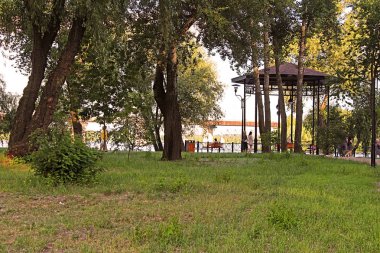 Yöre halkı ve turistlerin akşam, Kiev, Ukrayna Natalka Park'ta dinlenme