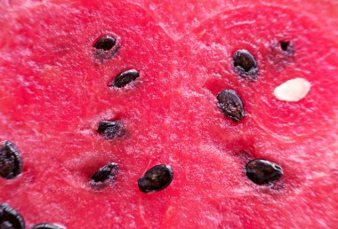 Kırmızı sulu şeker karpuz