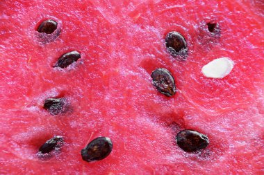 Kırmızı sulu şeker karpuz