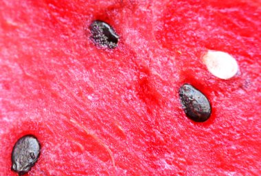 Kırmızı sulu şeker karpuz