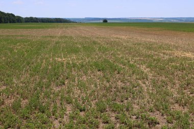 Alan yazında aittir. Nadas arazi