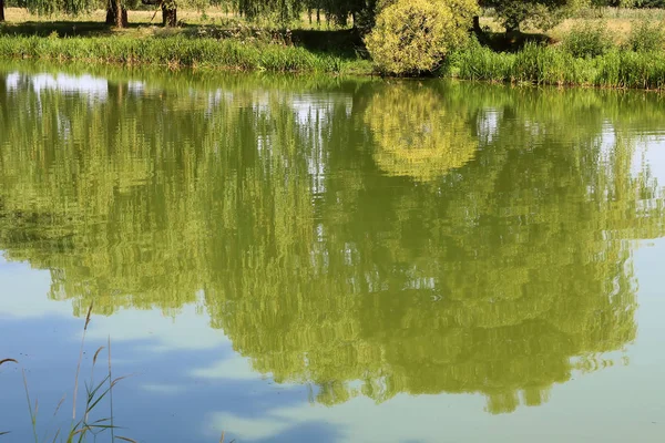 Weerspiegeling van bush en bomen in rivier zuidelijke Buh in nabij Vinnytsja, Oekraïne in de zomer — Stockfoto