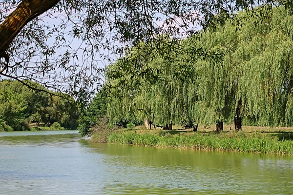 Hermoso patrón de follaje y el río Southern Buh en cerca de Vinnytsia, Ucrania en el verano — Foto de Stock