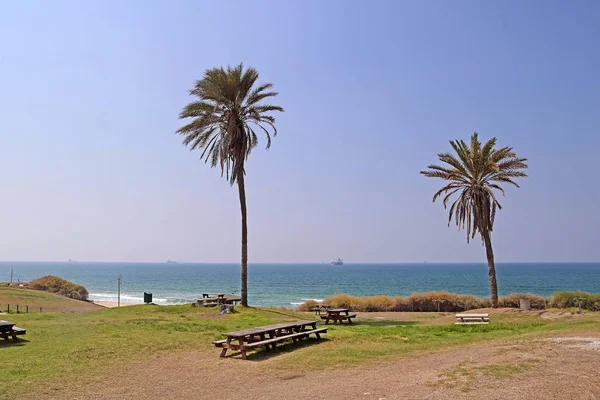 Avuç içi ve Akdeniz'in Ashkelon Milli Parkı'nda, Israe