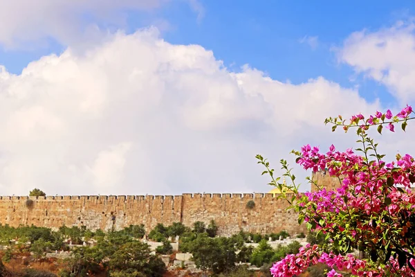 Lado Este do Monte do Templo da Cidade Velha de Jerusalém, Israel — Fotografia de Stock