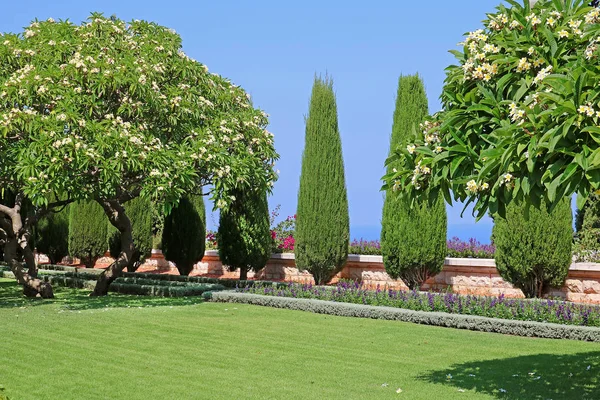 Bahai gardens w Acre (Akko), Haifa, Izrael — Zdjęcie stockowe