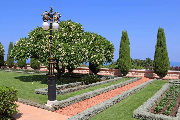 Bahai trädgårdar i Acre (Akko), Haifa, Israel — Stockfoto