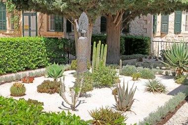Bahai bahçeleri kaktüsler, yuccas ve Agav'lar alanları yer alıyor.