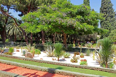 Bahai bahçeleri kaktüsler, yuccas ve Agav'lar alanları yer alıyor.