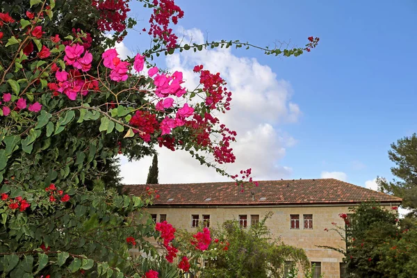 Monasterio trapense de Latrun en Israel —  Fotos de Stock