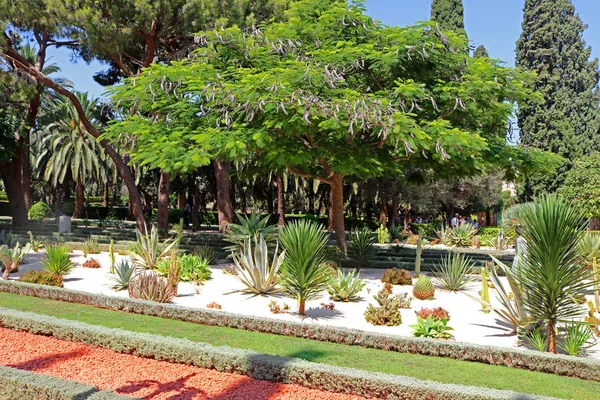 巴哈伊园包括有仙人掌、yuccas 和龙的地区 — 图库照片