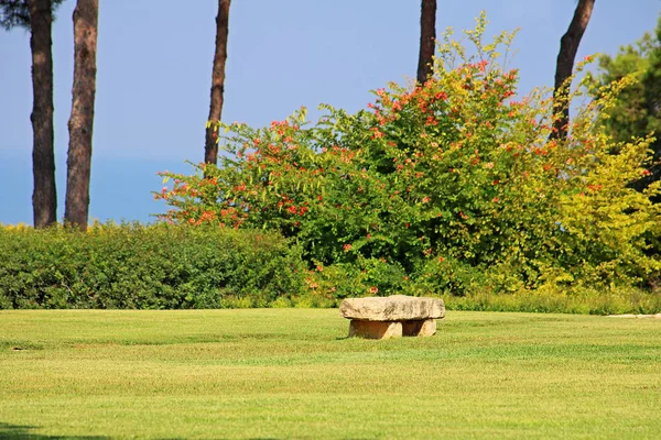 Stone bench in park Ramat Hanadiv, Memorial Gardens of Baron Edmond de Rothschild, Zichron Yaakov, Israel — Stock Photo, Image