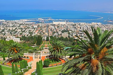 Bahai bahçeleri ve cityscape Haifa, İsrail