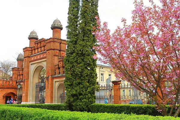 Entrance to Chernivtsi University (the former Metropolitans residence), Ukraine — Stock Photo, Image