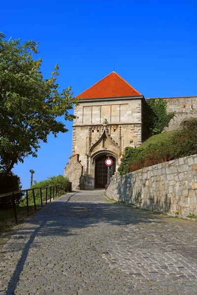 位于斯洛伐克布拉迪斯拉发的布拉迪斯拉发城堡西吉斯蒙德门的景观。 夏景 — 图库照片