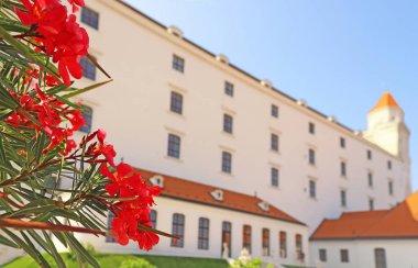 Arka planda kırmızı çiçekler ve Bratislava kalesi, Bratislava, Slovakya. Vintage filtresi