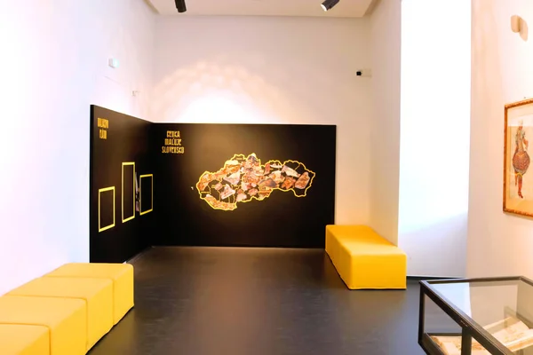 BRATISLAVA, ESLOVAQUIA - 01 DE SEPTIEMBRE DE 2019: Exposición dentro del Castillo de Bratislava Hrad. Ahora es Museo Nacional Eslovaco — Foto de Stock
