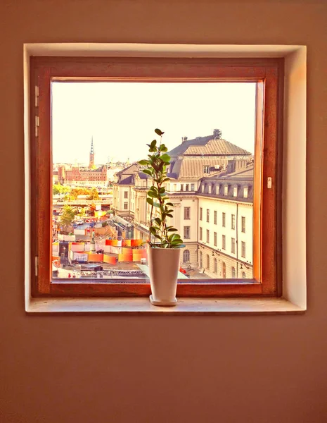 花瓶と窓 スウェーデン ストックホルムの鉄道駅の窓からの眺め トレンディーなトーニング — ストック写真