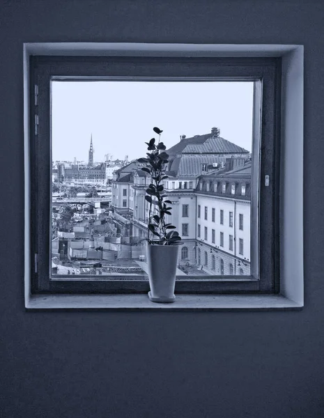 Vase Window View Window Railway Station Stockholm Sweden Trendy Toning — Stock Photo, Image