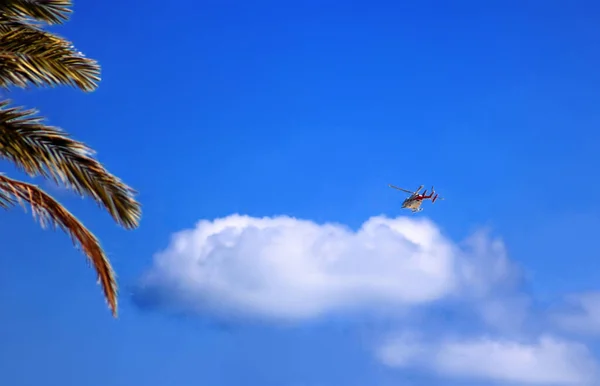 Ambulance helicopter in the sky over Ashkelon, Israel. Palm leaves (left)