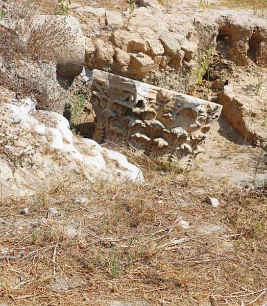 Parktaki Roma Harabeleri Ashkelon Srail — Stok fotoğraf