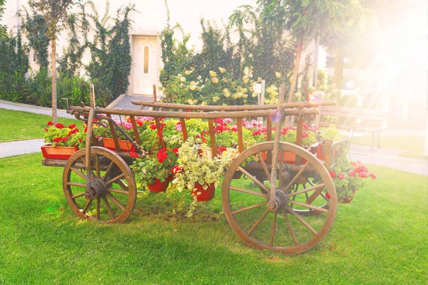 Carrinho Com Flores Jardim Pela Manhã Nascer Sol — Fotografia de Stock