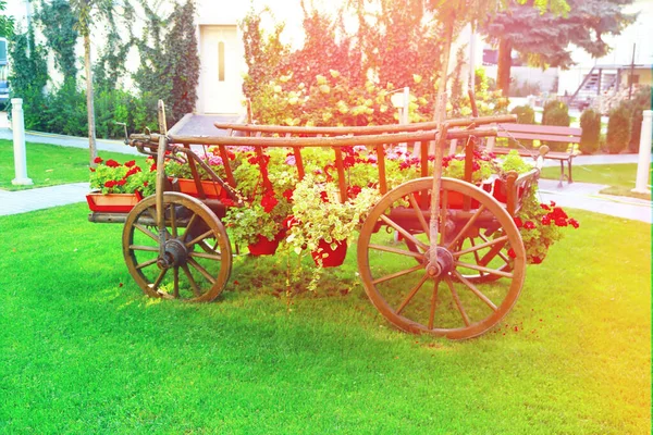 早上在花园里开着花的小轿车 — 图库照片