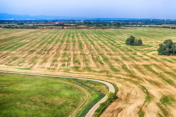 Slovakya Yaz Aylarında Tarım Arazileri Yol Manzarası Hava Görüntüsü Drone — Stok fotoğraf