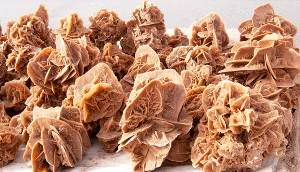 Desert rose, rose-like formations of crystal clusters of gypsum or baryte which include abundant sand grains in Sahara desert, Tunisia. The \'petals\' are crystals flattened on the c crystallographic axis, fanning open in radiating flattened crystal cl