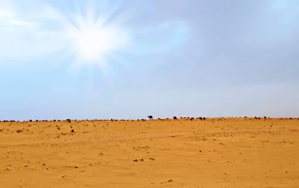 Desierto Del Sahara Túnez Luz Brillante Del Sol Lejos Horizonte — Foto de Stock