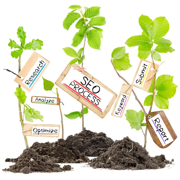 Plant Label Concept — Stockfoto