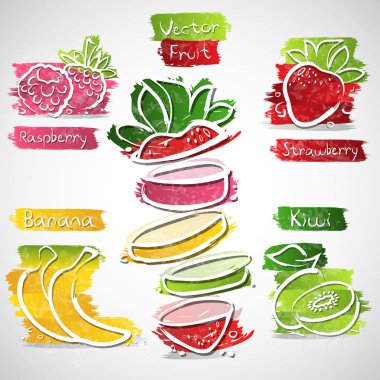 Meyve karışımı koleksiyonu