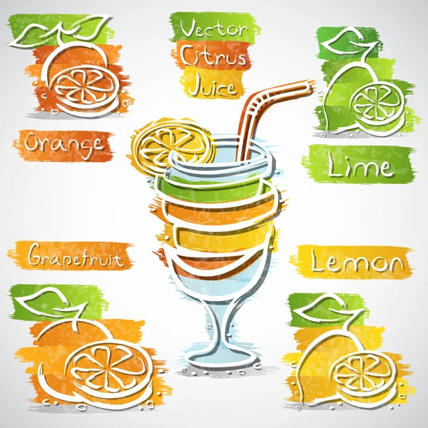 Narenciye içki koleksiyonu