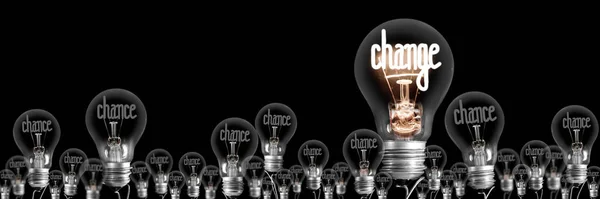 Light Bulbs with Chance and Change Concept