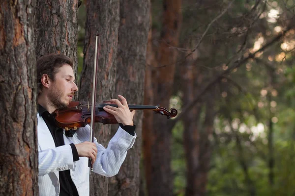 Violinista tocando el violín — Foto de Stock